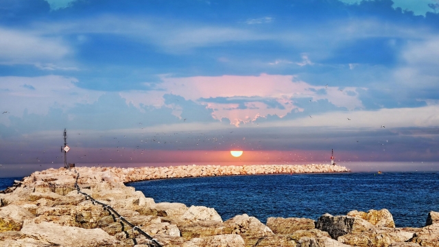 园林绿化一般多少米