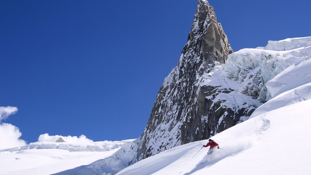 bwin必赢公司：园林绿化红叶菠菜