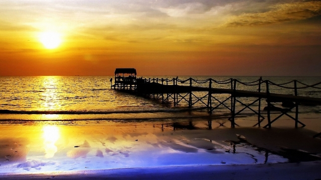 bwin必赢公司：园林绿化病虫害有