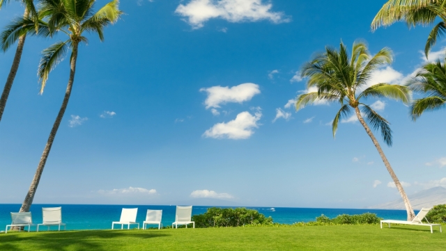 必赢唯一官方网站园林绿化的竹