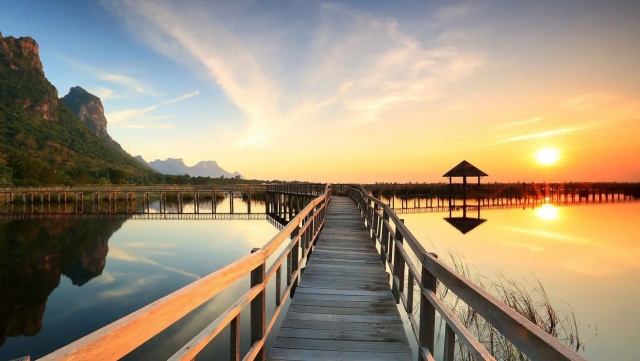 bwin必赢集团：园林绿化的多层次