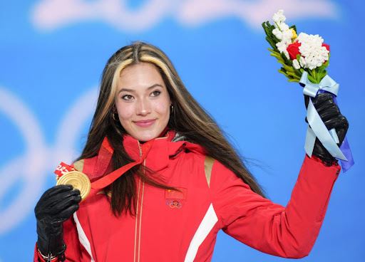 园林绿化用的花木吗