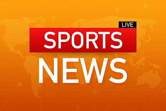 园林绿化奇石种类多吗