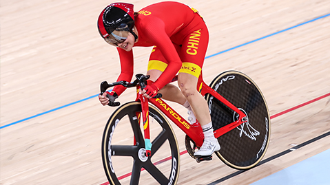 园林绿化属于什么名称