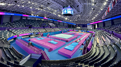 bwin必赢公司：上海草坪绿化工程服务